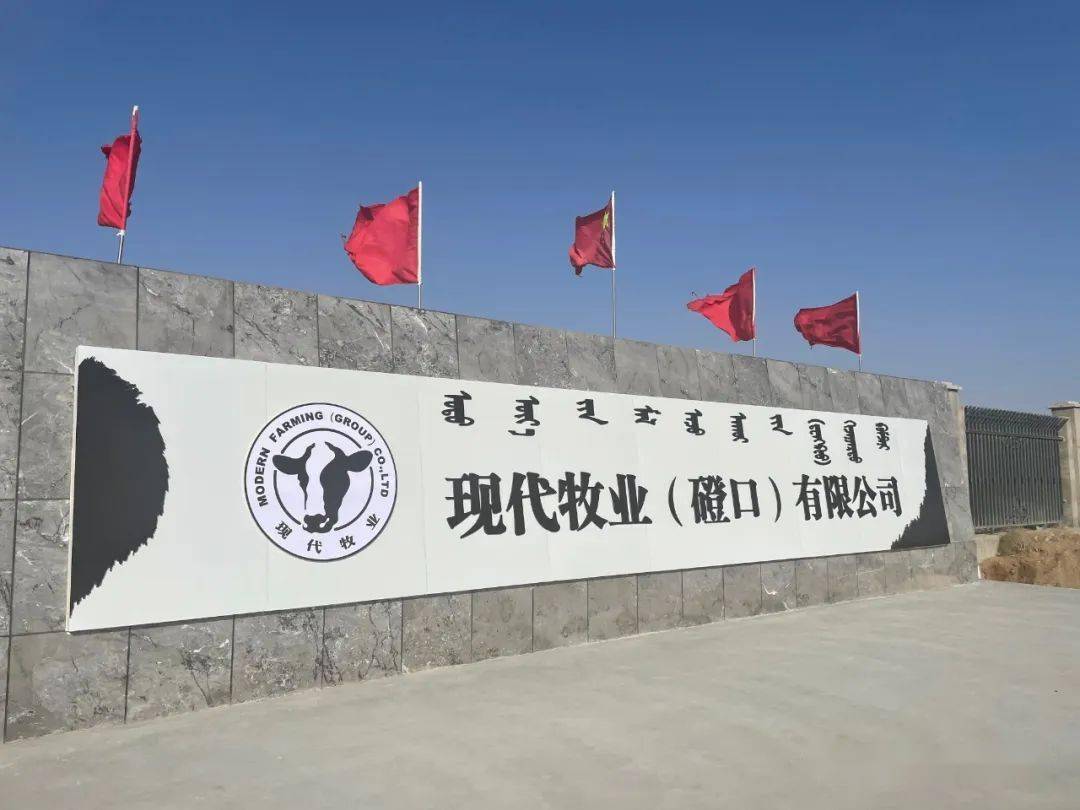 现代牧业收购中国圣牧：价值竞争成为行业主旋律