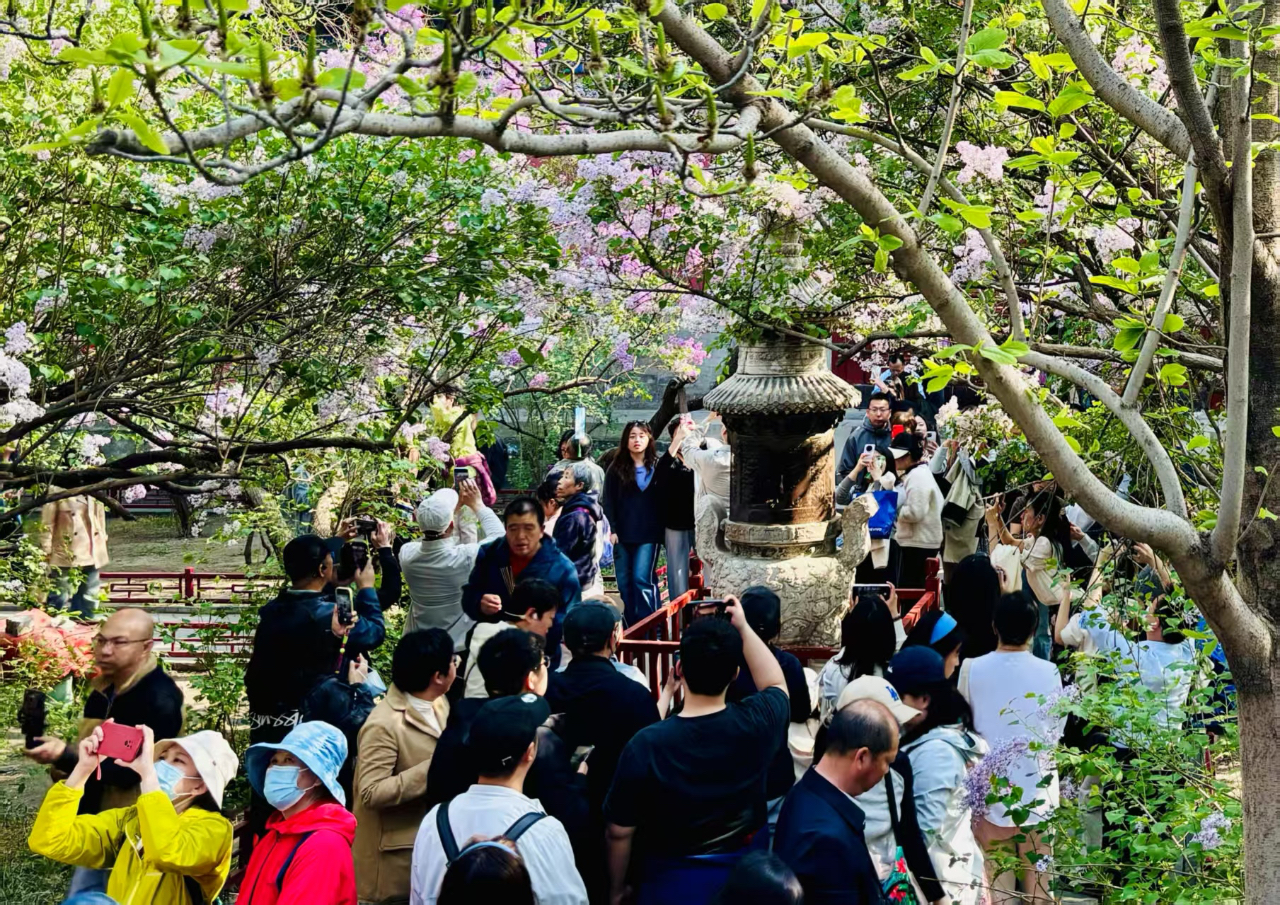政策热市场暖 激发文旅消费潜力