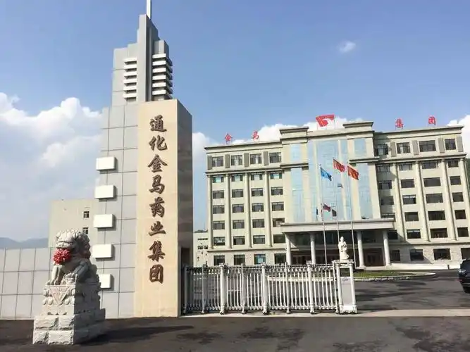 董事长增持难挡股价下跌 通化金马新药获批上市