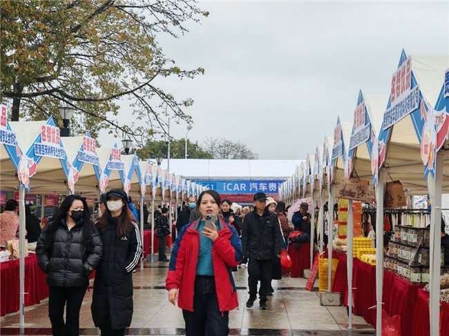 年味爆棚！第三届荷商大会展销会暨年货消费节开幕