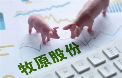负债率居高不下 牧原股份赴港上市能否解压