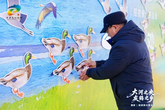 定格生态之美 讲好平罗故事  “大河之央・灰鹤之乡” 平罗摄影大赛正式启动
