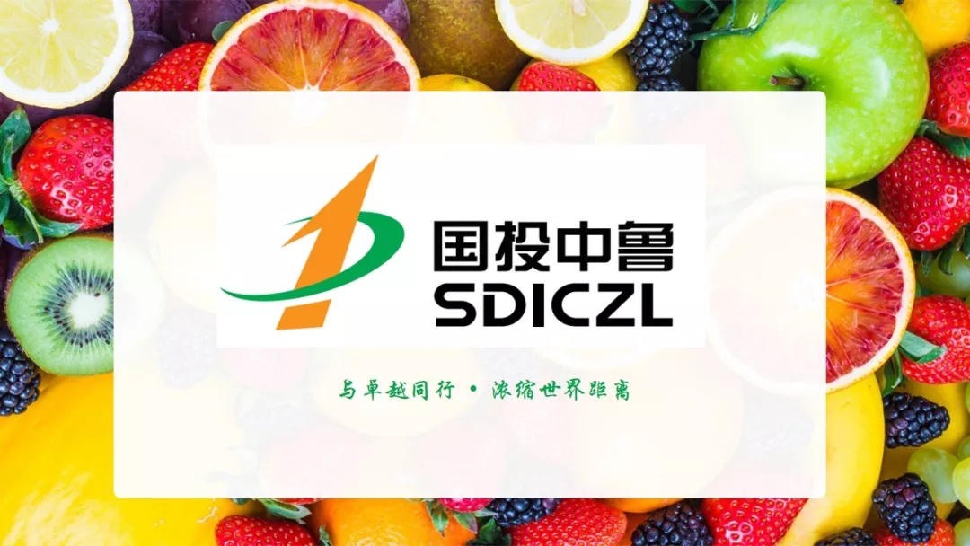 国投中鲁筹划重大资产重组 拟购买电子院控股权