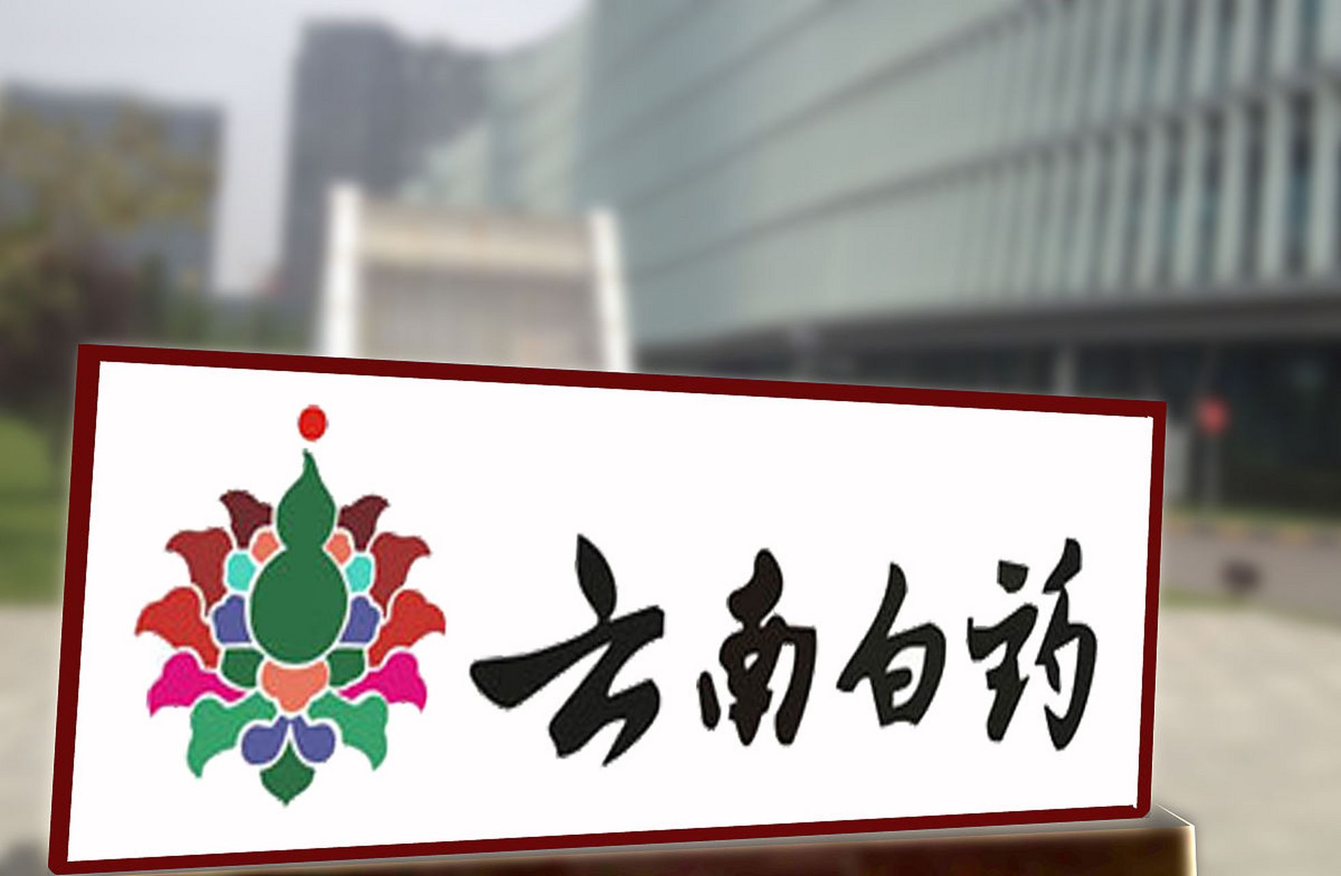 “戒股”后业绩重回正轨 云南白药押注创新药