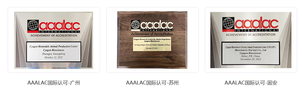 构建全球信赖的动物健康管理体系——专访赛业生物动物健康管理负责人