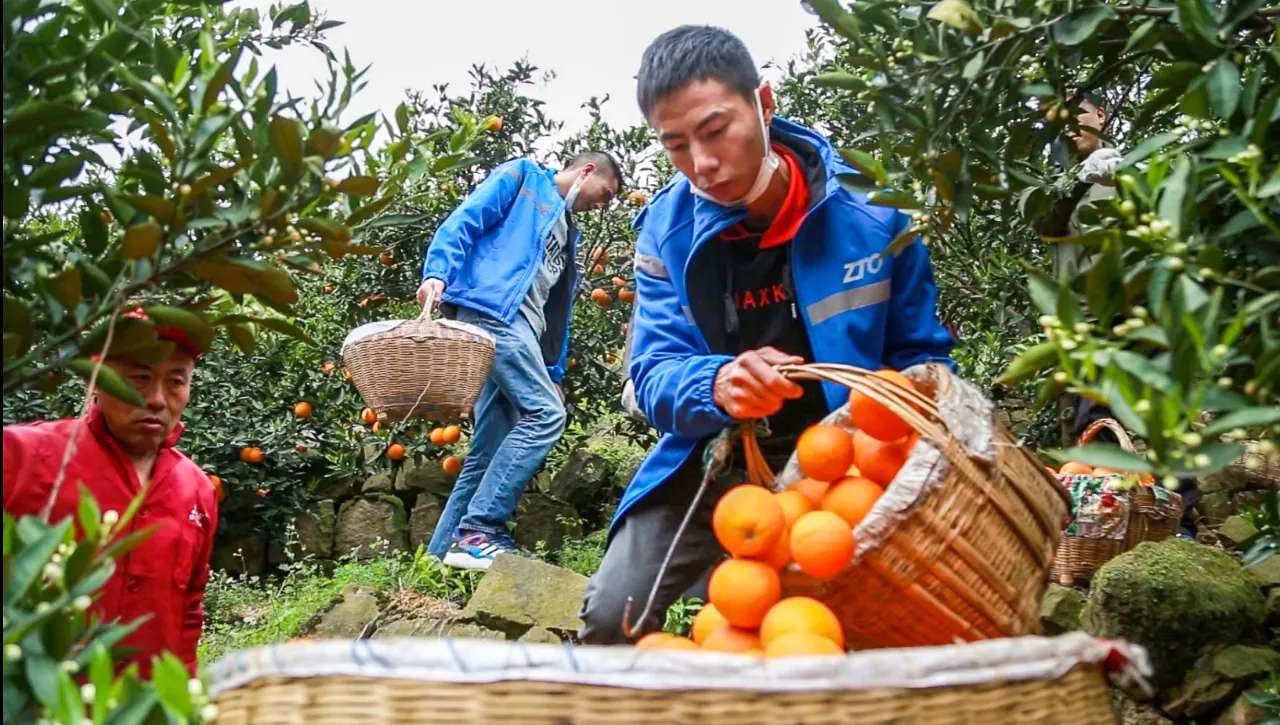 首届全国消费扶贫月启动 中通快递作为物流企业代表发言