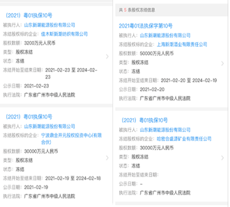 图3：新潮能源名下资产冻结信息