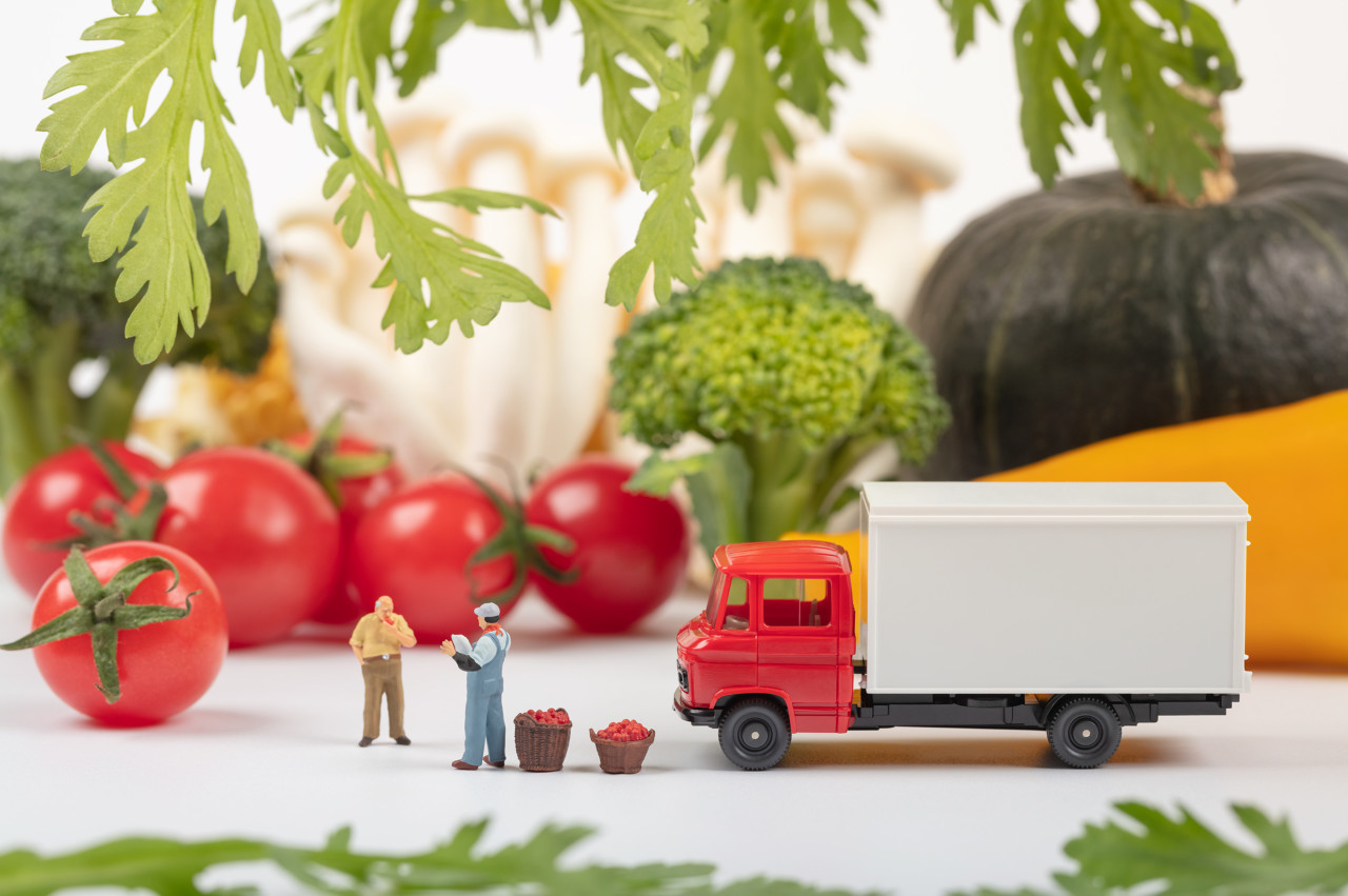 图源:图虫创意 图源:图虫创意