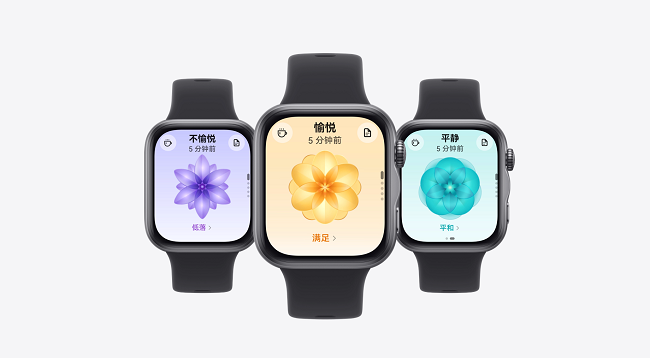 图片 2.png